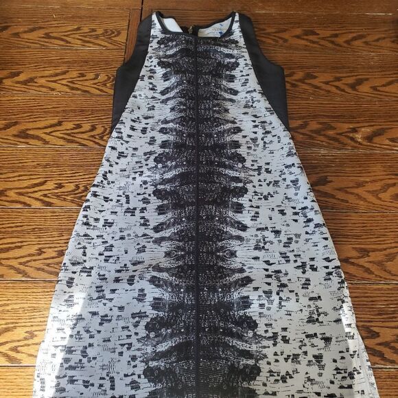 REED Abstract Shift Dress  Sz XS - Picture 3 of 6